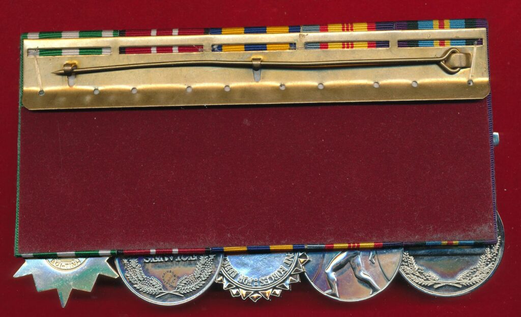 Court style mounted medals, back