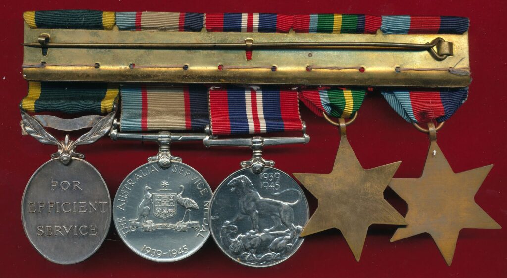 Swing style mounted medals, back
